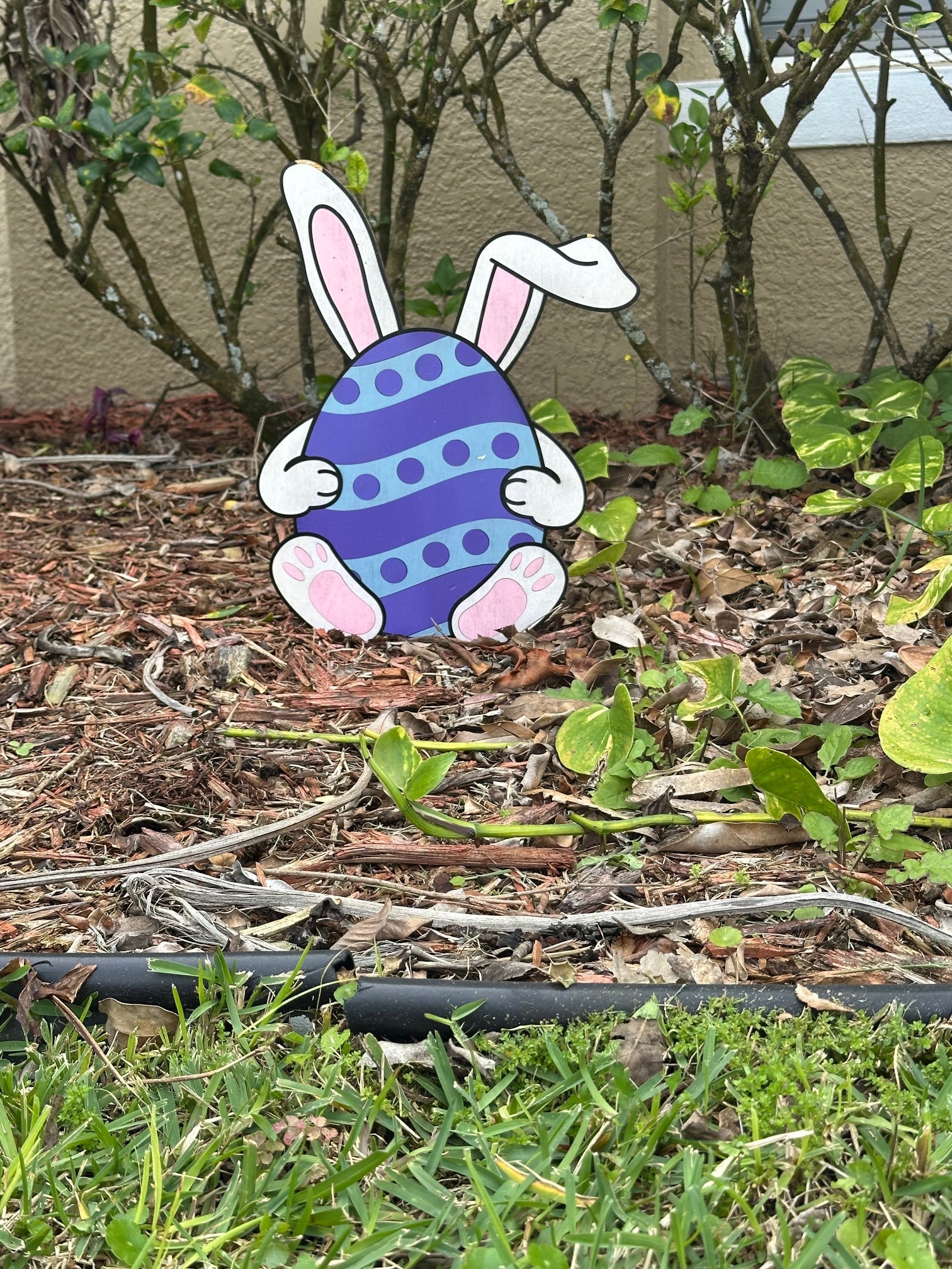 Easter Bunny Eggs - Photo 8