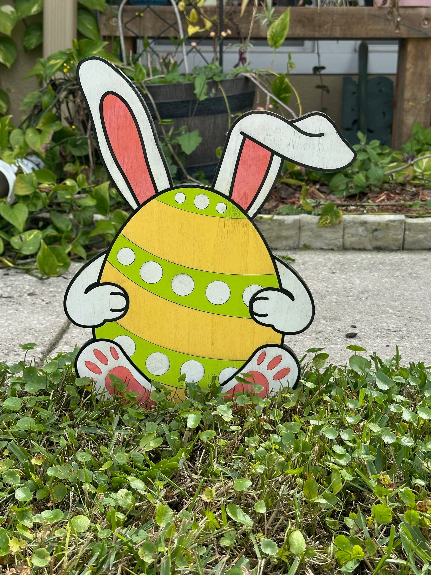 Easter Bunny Eggs - Photo 2
