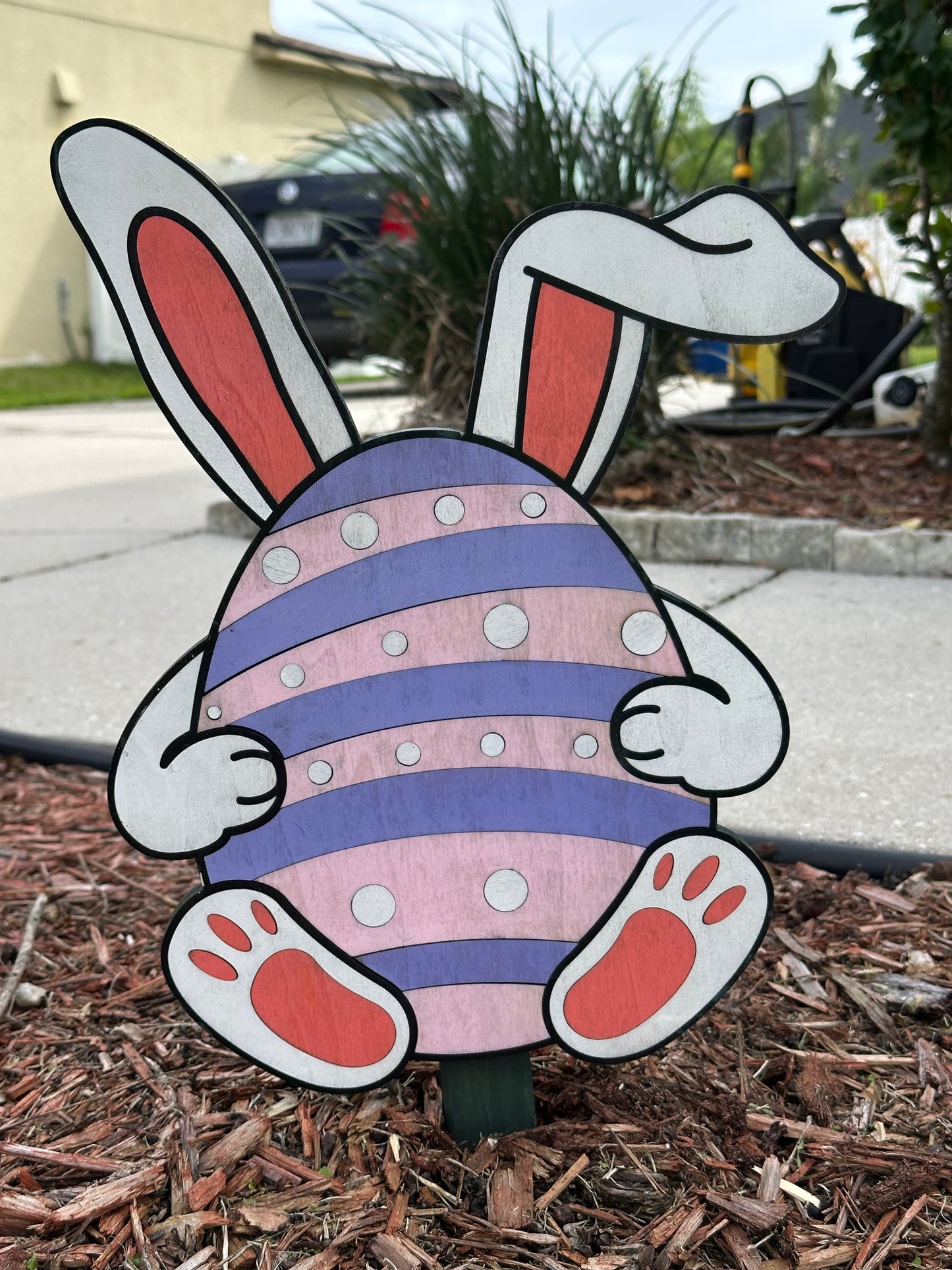 Easter Bunny Eggs - Photo 4